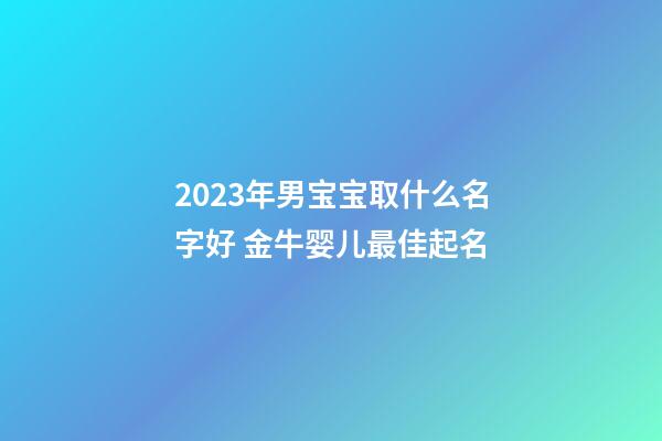 2023年男宝宝取什么名字好 金牛婴儿最佳起名